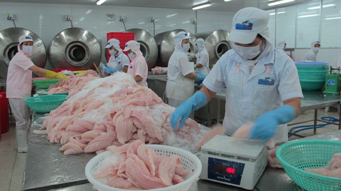  Nhiều DN cho biết, tỷ lệ mạ băng mới sẽ đẩy giá cá lên khoảng 1 USD/kg. Ảnh: Phương Chăm