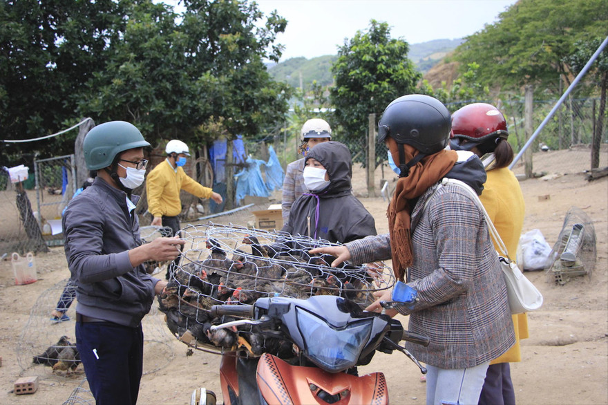 Cán bộ Xã Đoàn đến nhận gà chở về cho các em nhỏ