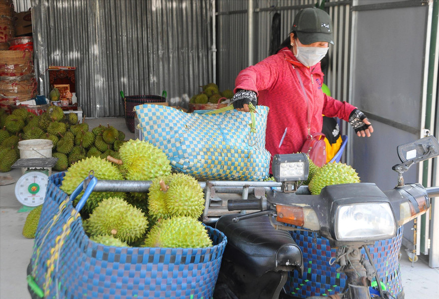 Hạ tầng logistics thiếu và yếu kìm hãm nông sản ĐBSCL 