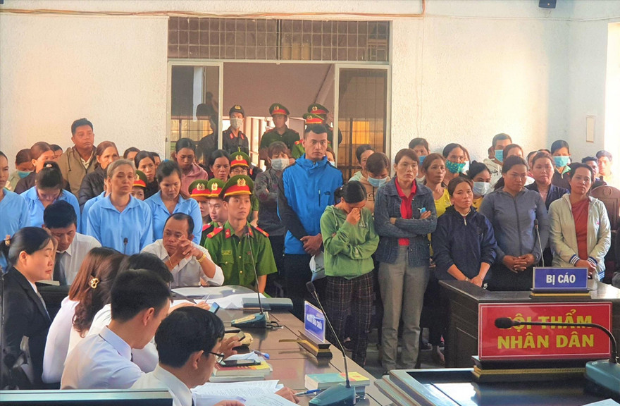 Các bị cáo tại tòa