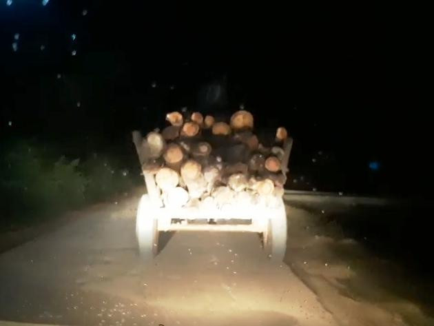 Xe chở gỗ lậu ở huyện Chư Prông, Gia Lai. Ảnh Đình Văn 