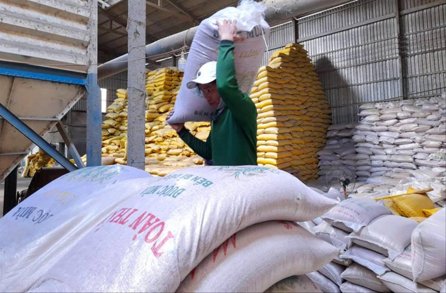 Lúa gạo tồn kho của DN còn nhiều khiến việc thu mua chậm trễ. ẢNH: CẢNH KỲ 