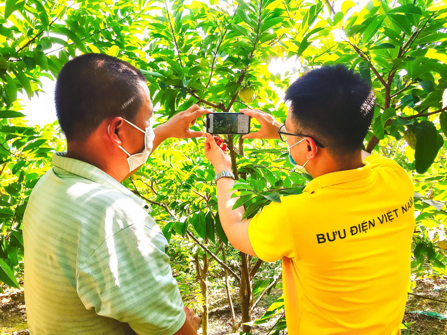 Hỗ trợ người nông dân đưa các sản phẩm lên sàn TMĐT 