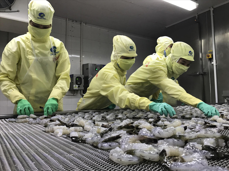 Bộ Công Thương cho rằng, hiện tại nhập khẩu có tăng mạnh nhưng chưa đến mức quá lo. Ảnh: Nguyễn Bằng 