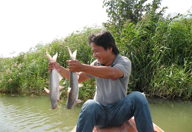 Anh Đăng bên ao nuôi cá bông lau.