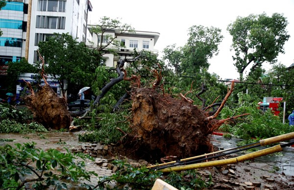 Hà Nội mưa lốc kinh hoàng, giao thông tê liệt
