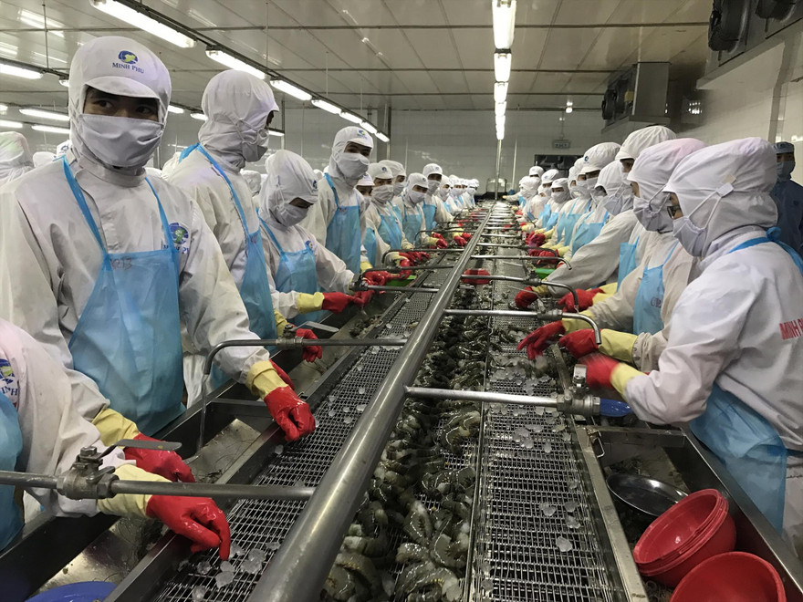 Khoảng 50% dòng thuế của thủy sản sẽ về 0% khi hiệp định EVFTA có hiệu lực