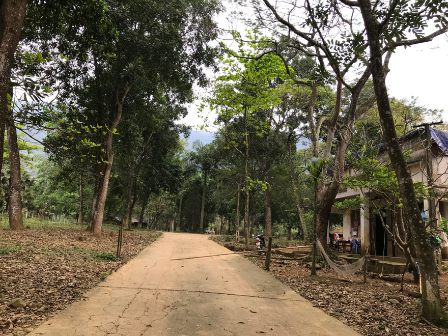 Cảnh hoang tàn của khu du lịch Suối Ngọc - Vua Bà 