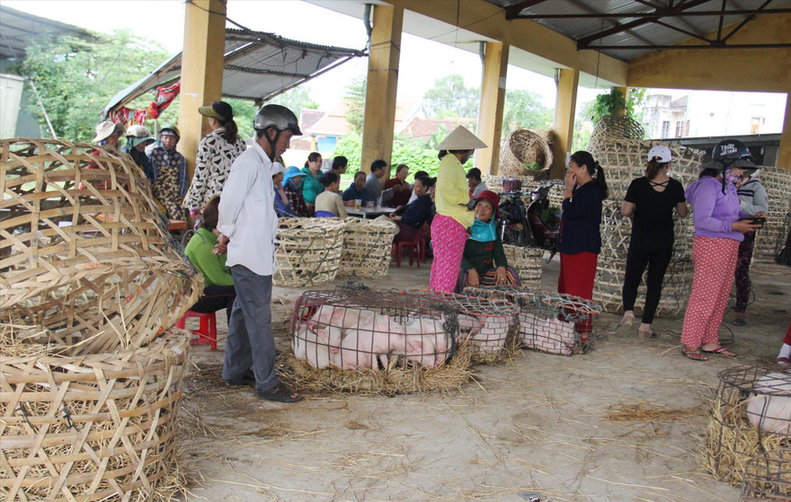Chưa bao giờ, người ngồi không lại nhiều hơn người mua bán và bồng heo trong chợ Bà Rén như những ngày “bão” dịch này Ảnh: Thanh Trần