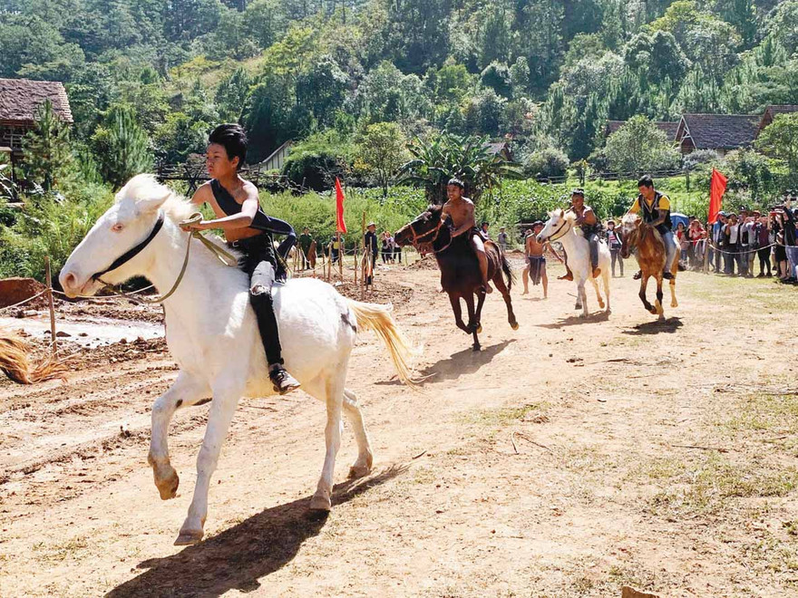 Đua ngựa không yên trên cao nguyên