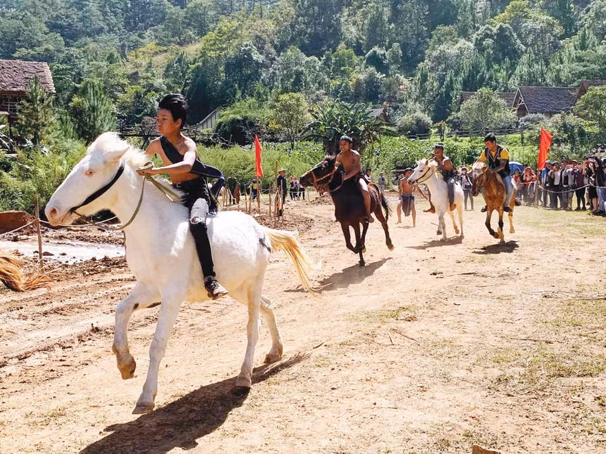 Đua ngựa không yên trên cao nguyên