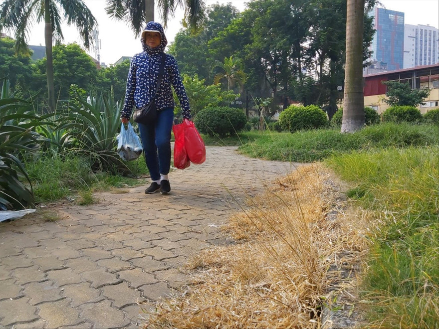 Cây dại, cỏ dọc các tuyến đường dạo tại Công viên 1/6 héo vàng rồi chết