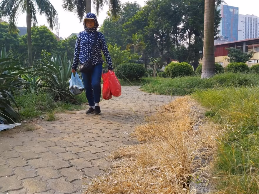 Cây dại, cỏ dọc các tuyến đường dạo tại Công viên 1/6 héo vàng rồi chết