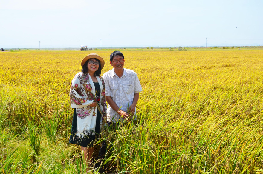 Thạc sĩ Cẩm Lai xin làm học trò Vua Lúa