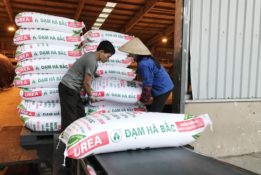 Nhiều doanh nghiệp sản xuất phân bón trong nước điêu đứng vì phân bón giả, nhái và phân bón nhập khẩu từ các nướcẢnh: Thục Quyên
