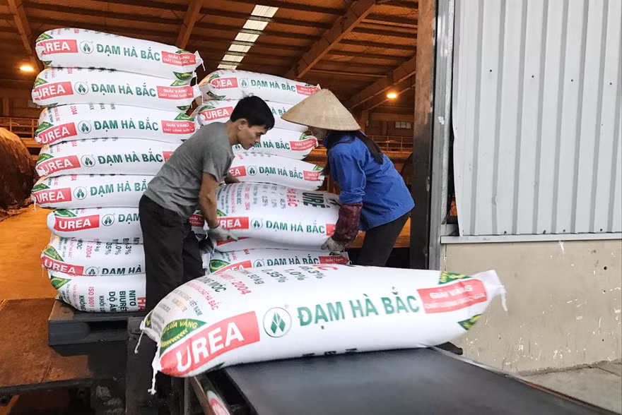 Nhiều doanh nghiệp sản xuất phân bón trong nước điêu đứng vì phân bón giả, nhái và phân bón nhập khẩu từ các nướcẢnh: Thục Quyên