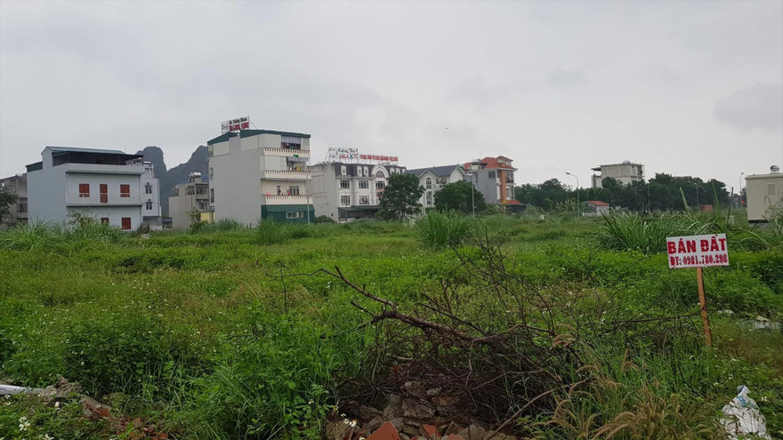 Cò tìm đủ mọi cách tạo cơn sốt đất tại Vân Đồn (Quảng Ninh) thời gian qua. Ảnh: Ngọc Mai