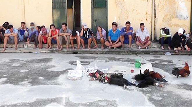 Công an huyện Phú Tân bắt quả tang vụ đá gà ăn tiền và lắc tài xỉu do anh Võ QuangTrường tổ chức trưa 05/01, tạm giữ 34 người