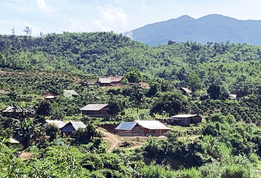 Ngôi làng "mọc" giữa rừng phòng hộ TK 181