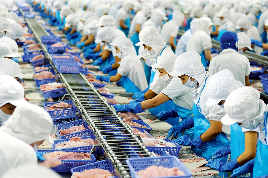 Dây chuyền chế biến hải sản xuất khẩu của công ty tư nhân ảnh: PV