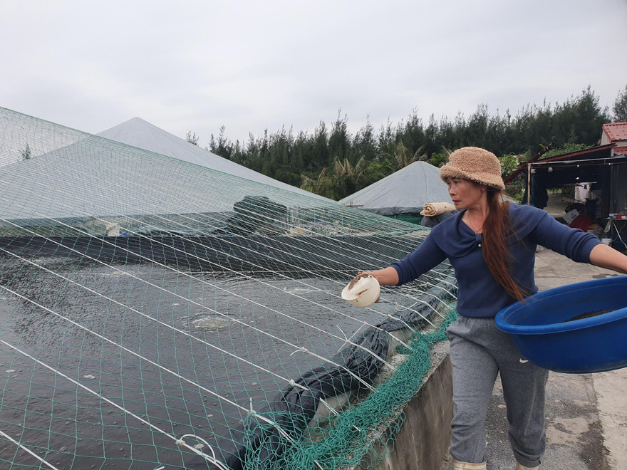 Xem nông dân Nam Định trùm kín ao tránh rét cho tôm