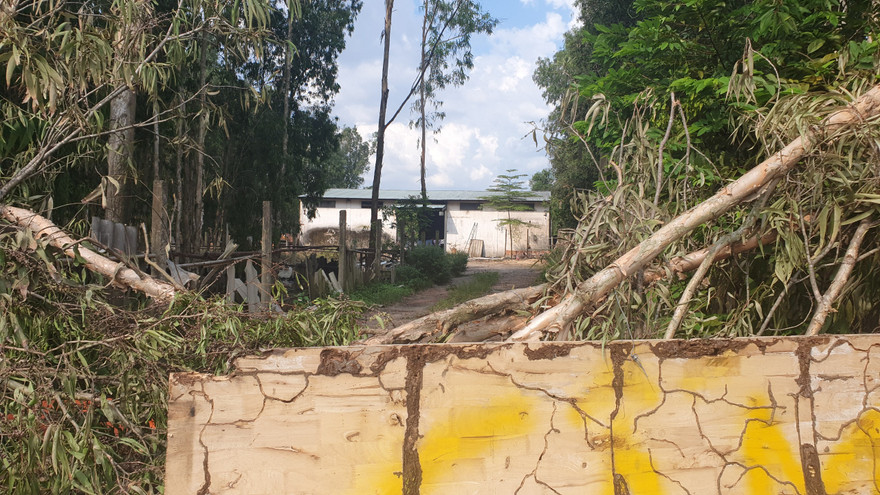 Thâm nhập đường dây tái chế dầu thải: Chấm dứt hoạt động cơ sở nhức nhối ở Củ Chi, TP HCM