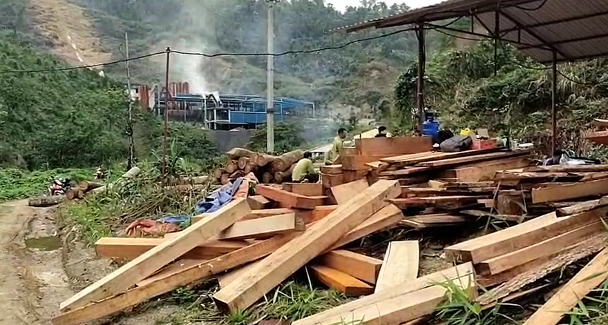 Vụ phá 2,8 héc ta rừng tự nhiên tại Bắc Kạn: Khởi tố vụ án, 20 đối tượng bị điều tra