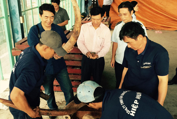 Tang vật vi phạm 'bốc hơi': Người ra quyết định tạm giữ cũng bị xử lý