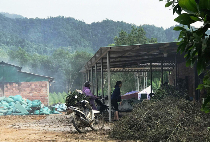 Lò sấy quy mô lớn vẫn ung dung hoạt động bất chấp lệnh buộc tháo dỡ của Chủ tịch UBND huyện Nam Đông. Ảnh: N.V.