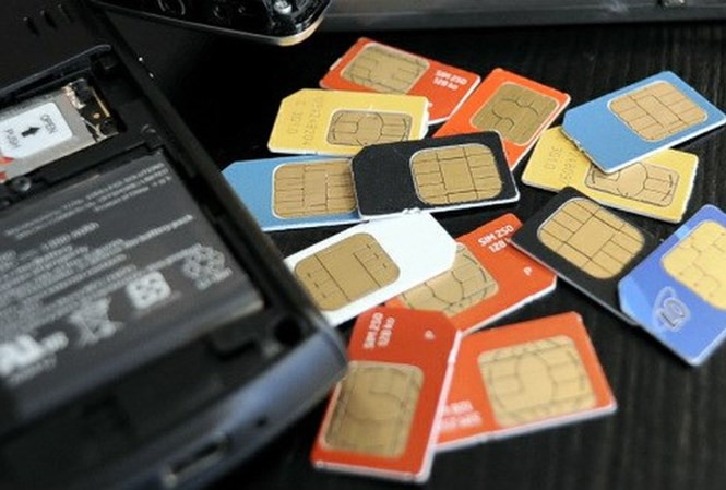 Ảnh minh hoạ: Internet