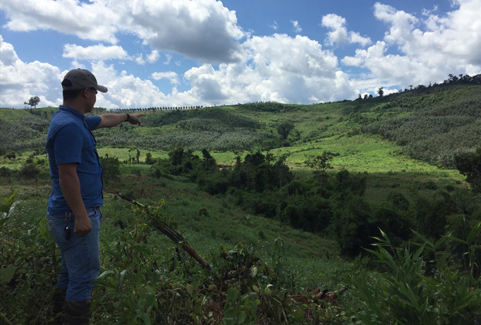 Rừng giao khoán cho gia đình ông K’Bốt bị chặt phá hết để trồng cao su.