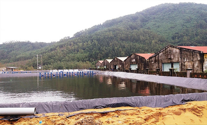 Ao hồ hình thành trái phép, nuôi tôm sai quy định tại xã Lộc Vĩnh vẫn hoạt động bình thường mà không hề gặp bất kỳ trở ngại hay ngăn chặn nào từ cấp có thẩm quyền.