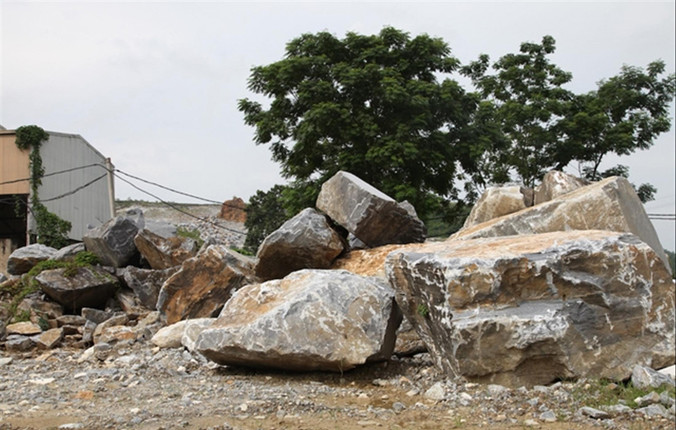 Hàng loạt doanh nghiệp làm đơn cầu cứu cơ quan chức năng.