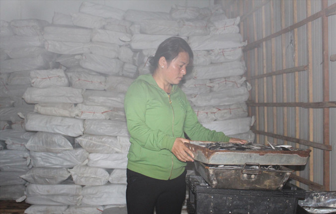 Tỉnh Quảng Trị hiện còn hơn 700 tấn hải sản của 16 cơ sở thu mua, chế biến bị tồn kho chưa được bồi thường để tiêu hủy (Trong ảnh: Hải sản đang tồn kho tại Cơ sở thu mua và chế biến của bà Lê Thị Thuộc ở thị trấn Cửa Tùng, huyện Vĩnh Linh). Ảnh: H.T.