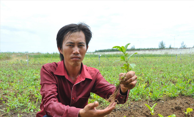 Đỗ Minh Tuấn bên vườn rau dược liệu của mình. ẢNH: Hòa Hội.