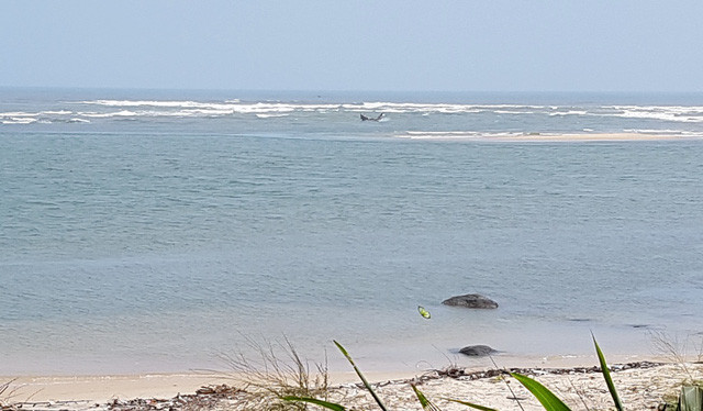 TT-Huế: Chấm dứt dự án nạo vét cửa biển kiểu “ăn thịt, bỏ xương”