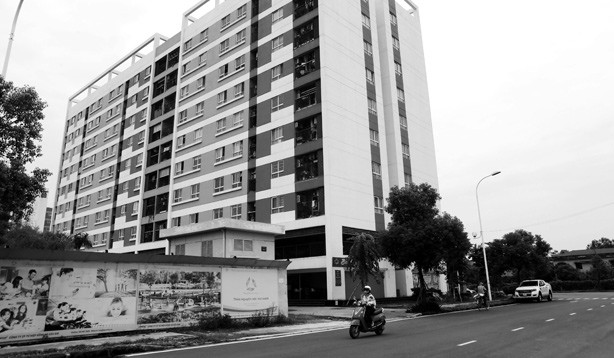 Chuyên gia nói việc đầu cơ chỉ diễn ra khi cung ít, cầu nhiều.