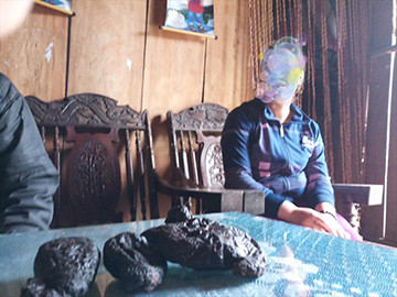 Một đầu mối giới thiệu, bán dạ dày nhím