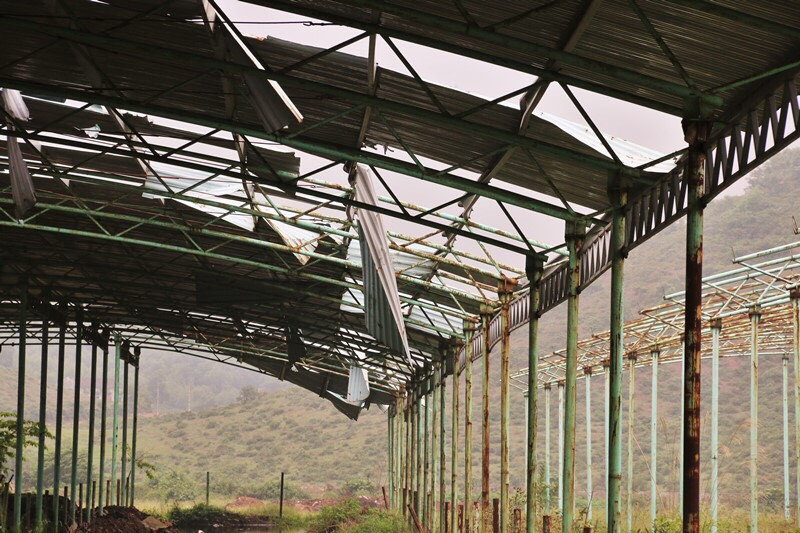 Khu “siêu dự án” chăn nuôi bò bỏ hoang, trang trại trơ khung. Ảnh: Phan Hoài 