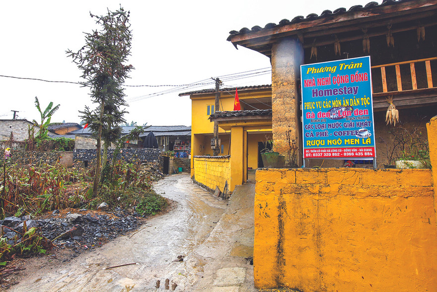 Homestay và các dịch vụ du lịch khác