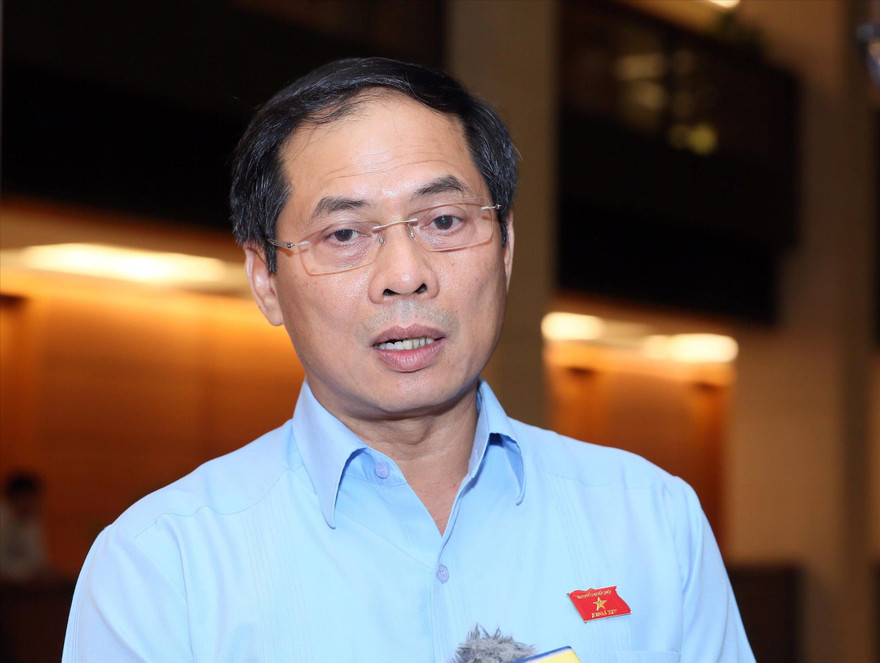 Thứ trưởng Bộ Ngoại giao Bùi Thanh Sơn