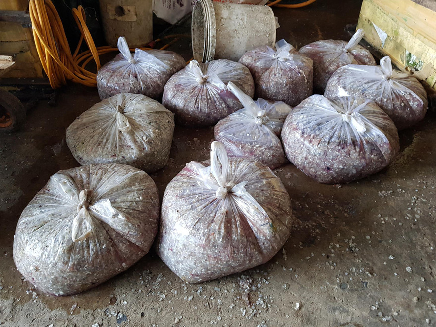 Số vảy cá được người dân đựng trong túi nilon để bán. Ảnh N.H