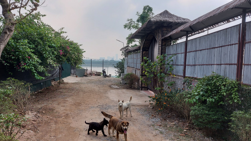 Con đường tự phát mọc trên địa bàn quận Long Biên Ảnh: M.Đ