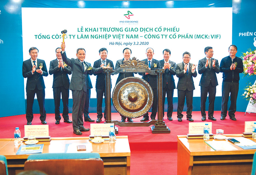 Cổ phiếu VIF của Vinafor lên sàn đánh dấu bước phát triển mạnh mẽ, quan trọng trên chặng đường 25 năm xây dựng và phát triển của Vinafor