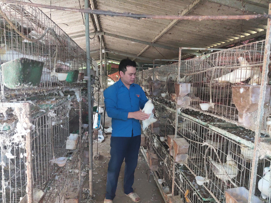 Anh Dũng làm giàu từ trang trại