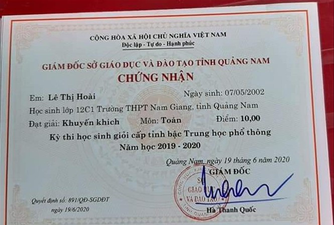 Thành tích thi học sinh giỏi toàn tỉnh của em Hoài
