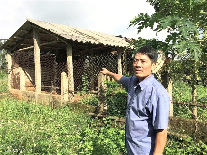 Chuồng bò của ông Hòa bỏ hoang 10 năm nay không kinh doanh được vì ông phải chịu án oan