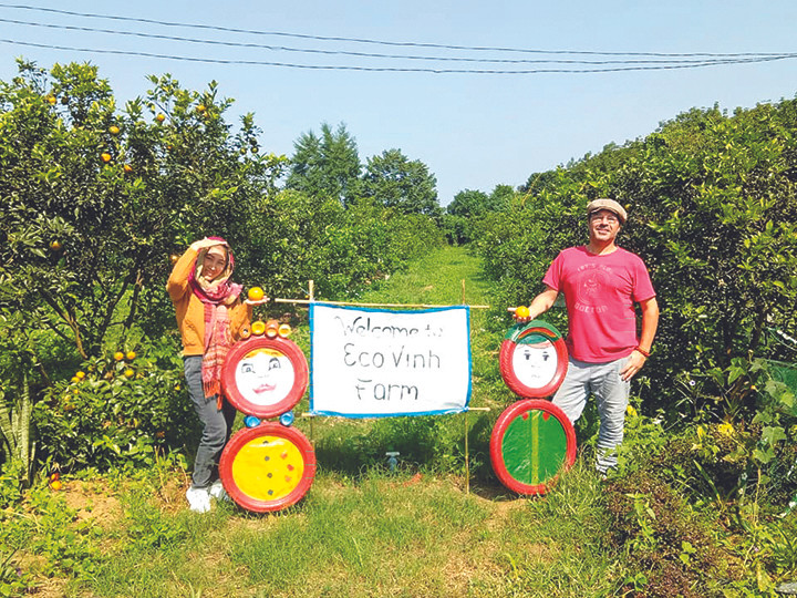 Du khách nước ngoài đến vườn cam tổ chức sự kiện 