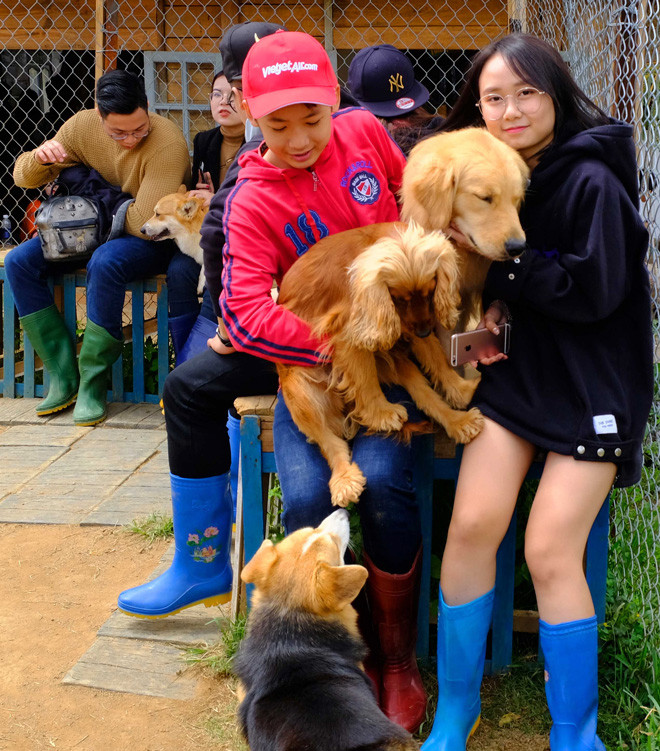 Trẻ em chơi với chó ở Black Rock Garden