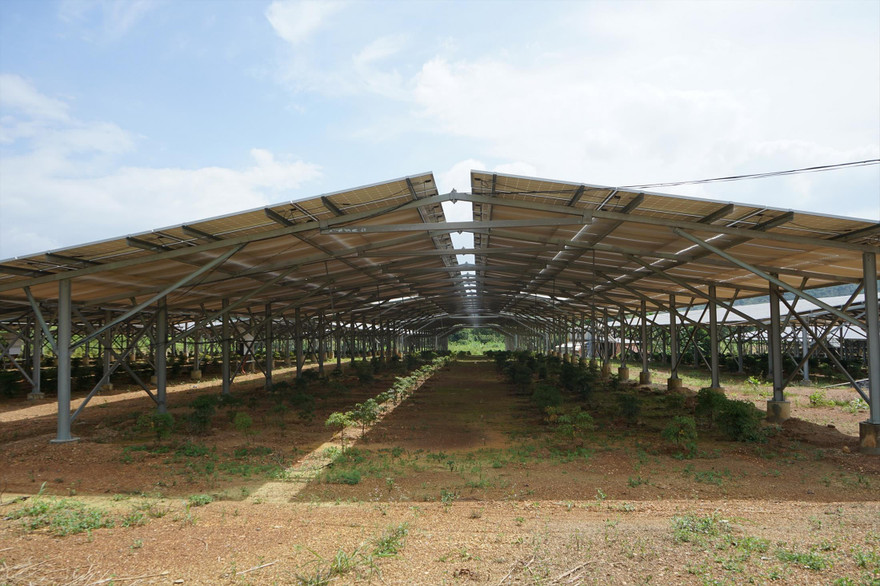 Dự án NLMT trá hình nông nghiệp công nghệ cao 